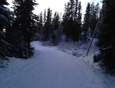 Smørefri: Zero- eller felleski?