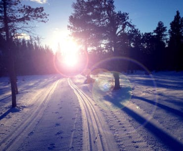 Resultater Kangaroohoppet 2019 (Australia)