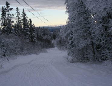 Skiføre i Bymarka i Trondheim!