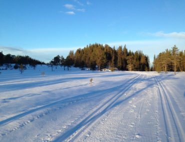 Del skiføret der du er! Bruk #nysno201516