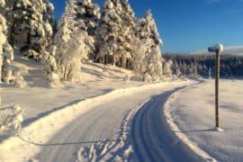 Vindfjelløpet (10.02.-19) rikt på snø, rikt på tradisjoner