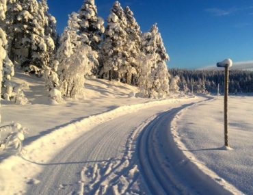 Vindfjelløpet (10.02.-19) rikt på snø, rikt på tradisjoner