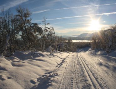 Støtt Turrenn.net!