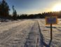 04.02.-17: Markatrimmen i Bymarka i reservetraséen