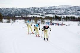 Skienern (23.02.-19): -bare villsnø, ikke noe tamsnø eller kanonsnø.
