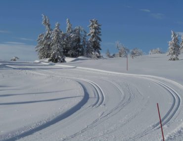 Norefjellrennet (20.01): Familievennlig heldagsarrangement med perfekte forhold