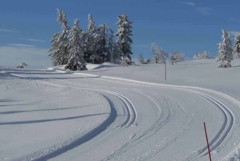 Norefjellrennet (20.01): Familievennlig heldagsarrangement med perfekte forhold