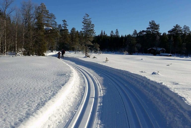 Gransmarkrunden på Totenåsen (25.02.2018) ønsker seg mange deltakere!