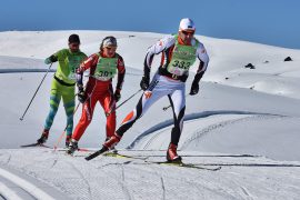 Worldloppet and New Zealand race Merino Muster greets all as their potential new friend
